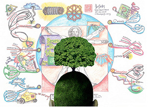 Arborescence du cerveau avec le mind mapping