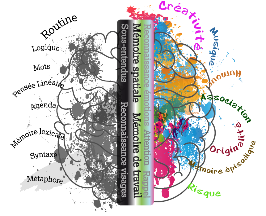  cerveau droit et gauche mots 