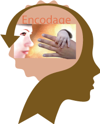 Visage Encodage