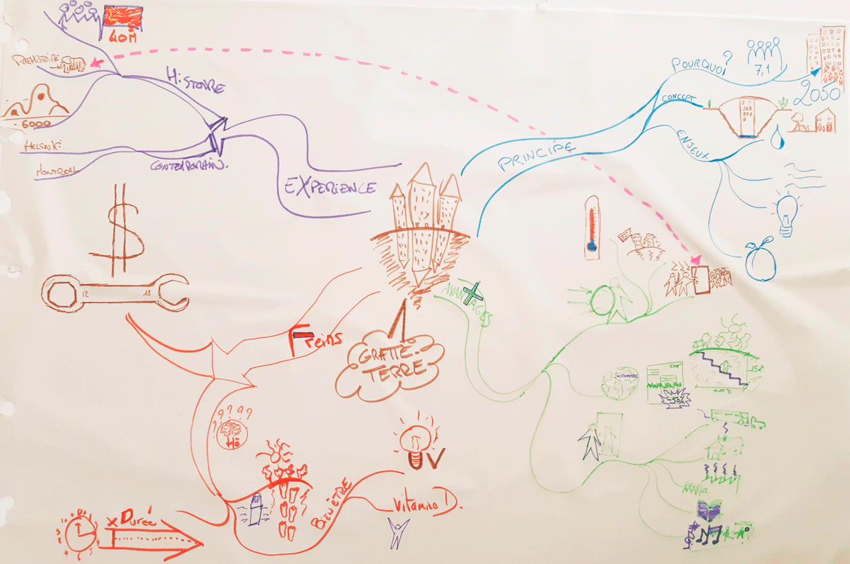 CJD Pays de la Loire mind mapping